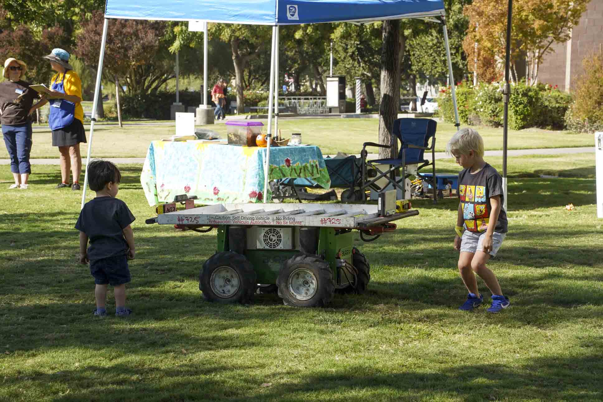 WVF 2024 Pic Kids Zone Burros