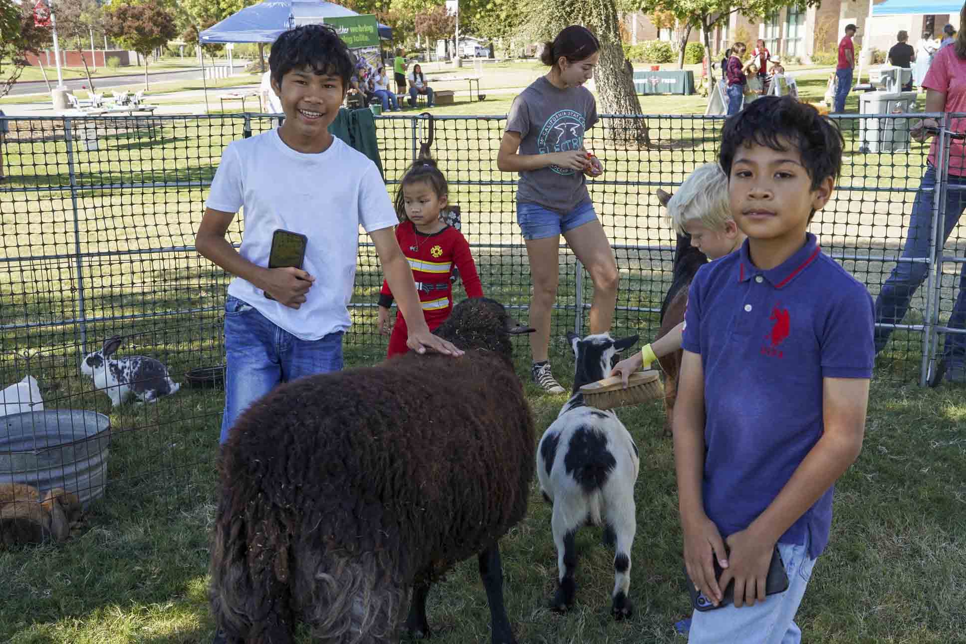 WVF 2024 Pic Kims Petting Zoo